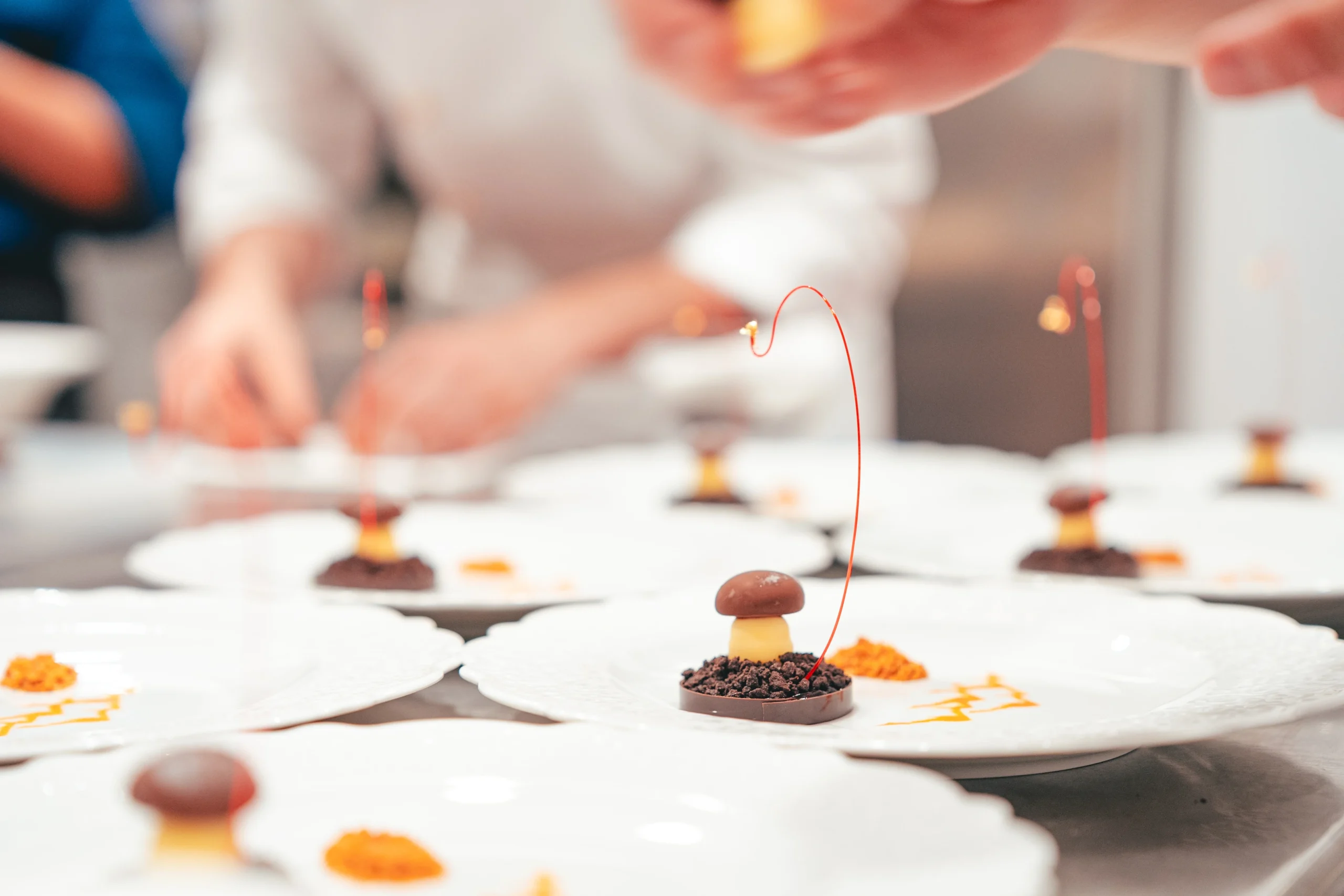 Cioccolato bianco e funghi porcini