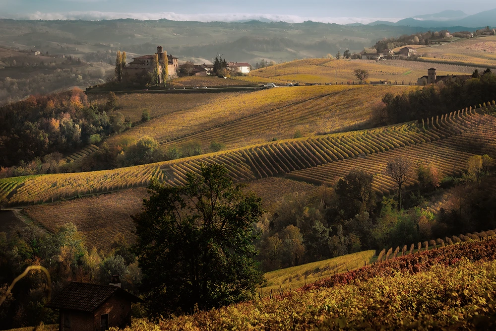 Paesaggio UNESCO Langhe in autunno
