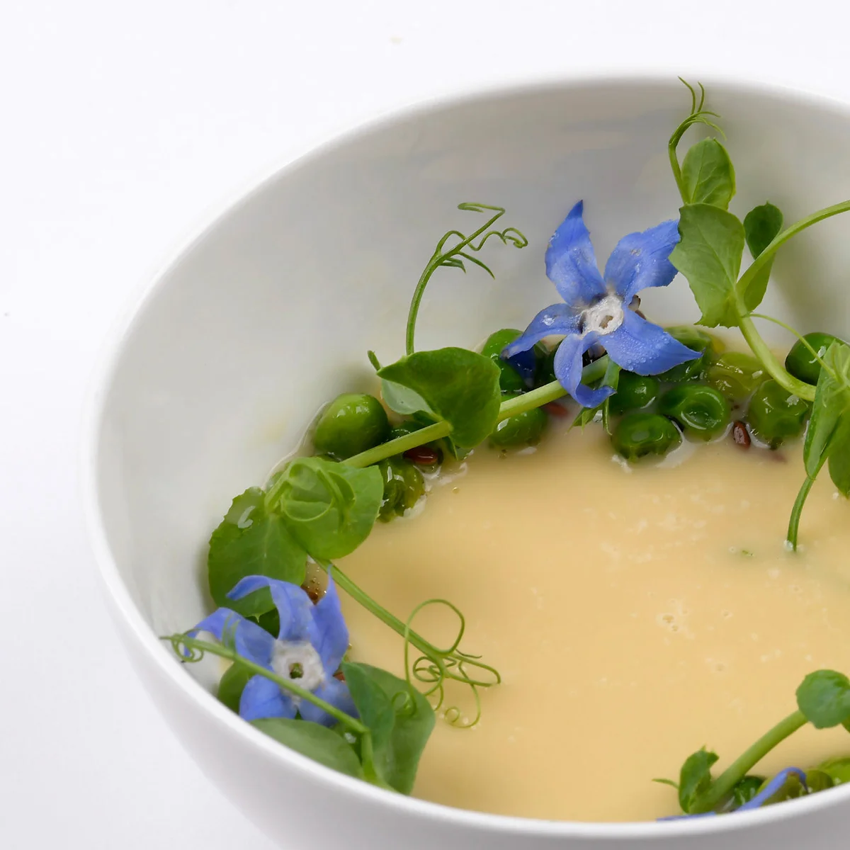 Men&ugrave; Orto vegetariano del ristorante stellato Locanda del Pilone: Chawanmushi di piselli
